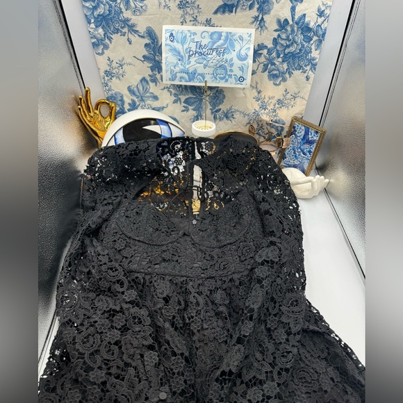🆕 SELF-PORTRAIT 🧿 BNWOT Black Lace Tie-Neck Minidress, Sz US 6 / UK 10 - Picture 11 of 15